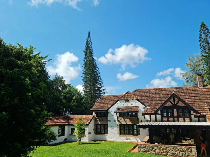 a very large house in the woods by itself