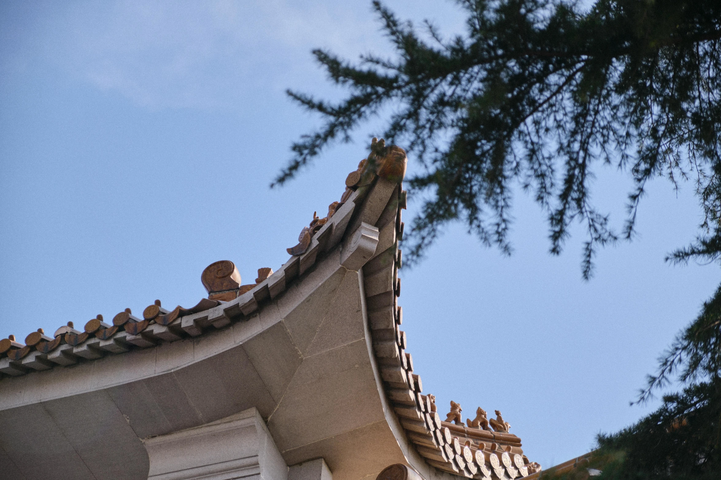 a roof is seen with no leaves on it