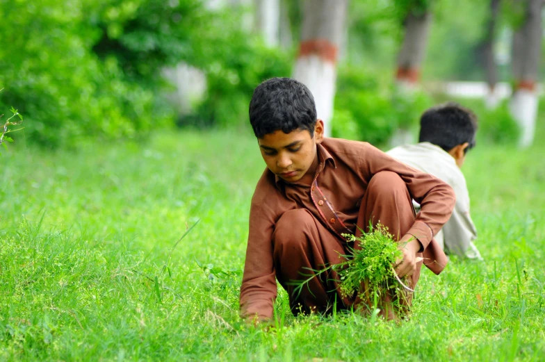 two boys are working in the field looking at grass