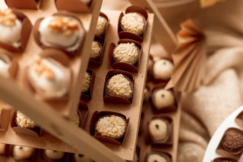 trays with brown and white dessert items on top