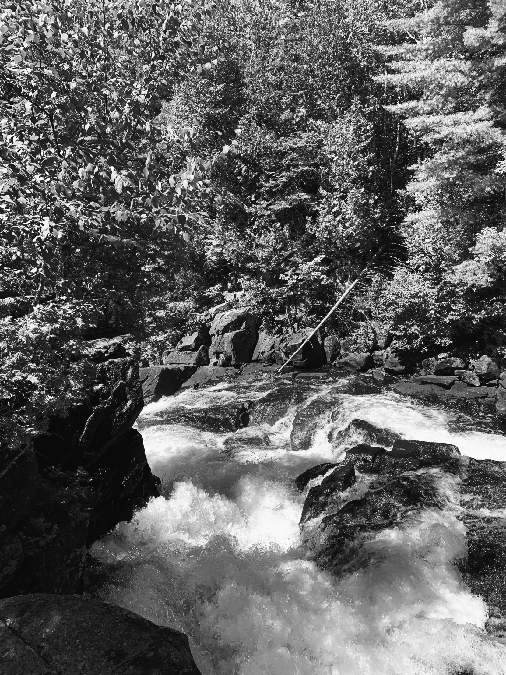 the rocks near the river are surrounded by trees