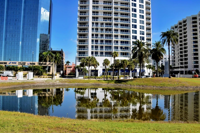 palm trees surround a city with skyscrs in the background