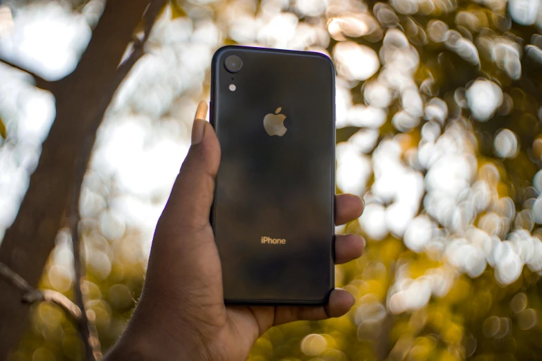 a person holding a cell phone with a picture of the apple logo