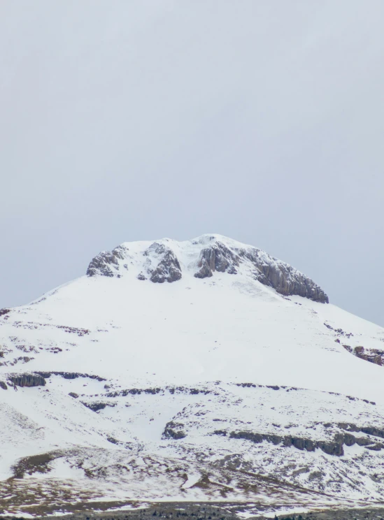 a snowy mountain covered with trees and shrubs