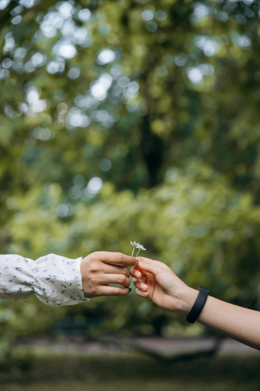 a person reaching out another hand for a flower