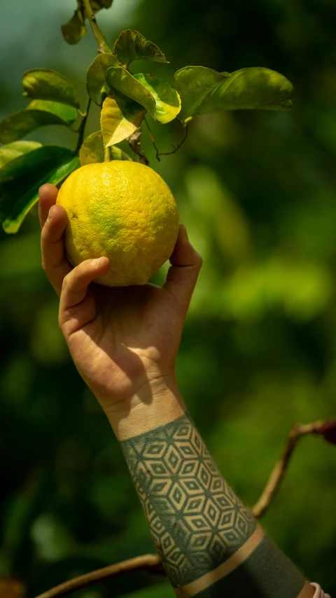 a person with tattoos holding a lemon fruit