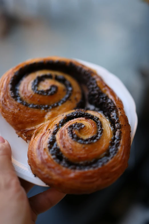 two spiral pastries that have been placed on a plate