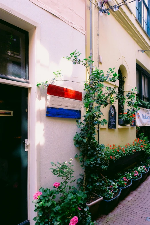 an image of a house with flowers and vines