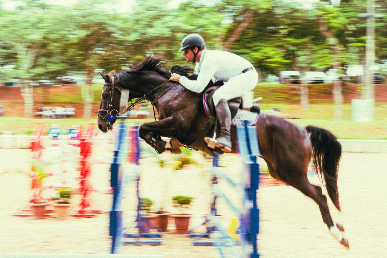 horse jumping over barrier in indoor competition with rider