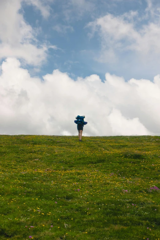 a fire hydrant in a grassy field with a sky background