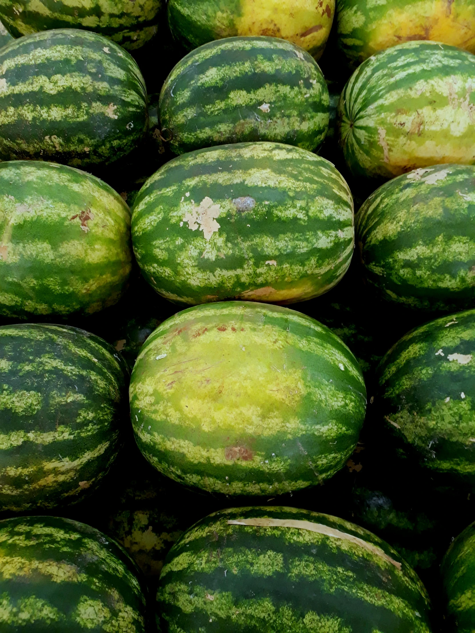 a pile of green and yellow gourds sitting next to each other