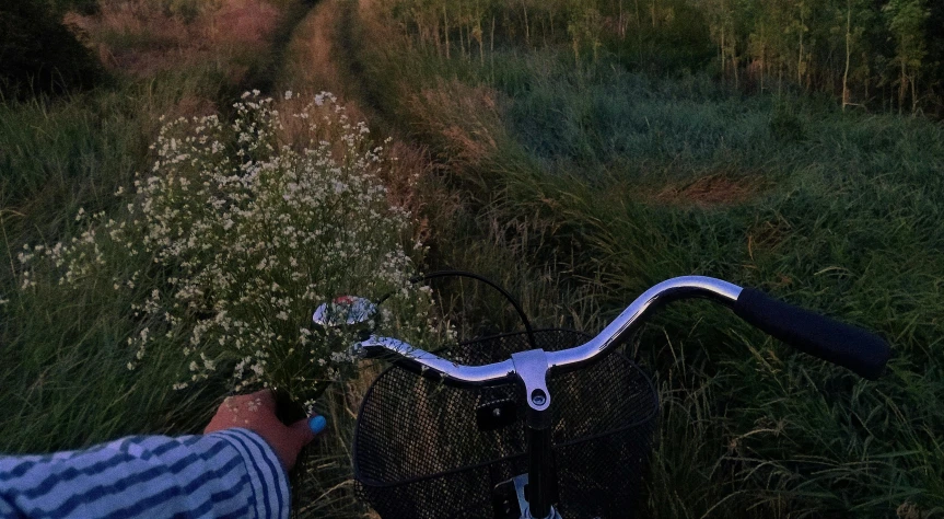 the person on the bike is looking at the field