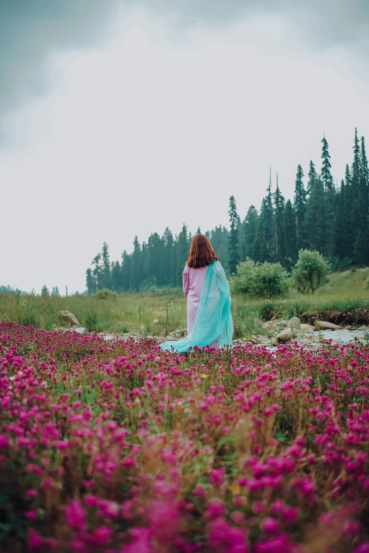 woman in blue and pink dress walking through the field