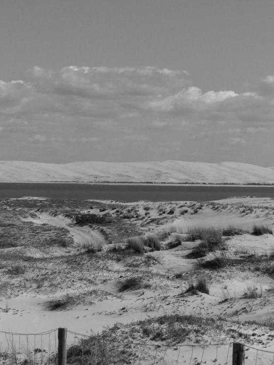 the view of the ocean and a desert landscape