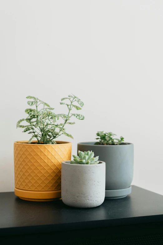 three grey and yellow plant pots sitting on top of a black table