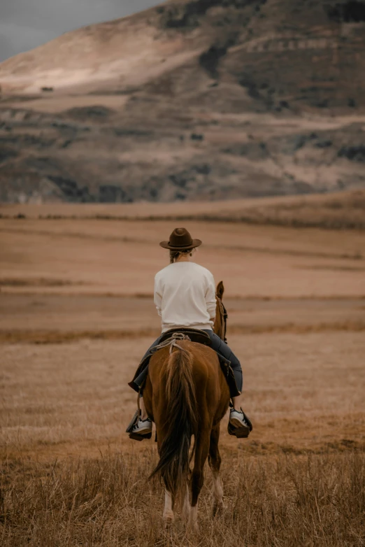 a man in a hat riding a brown horse on a plain