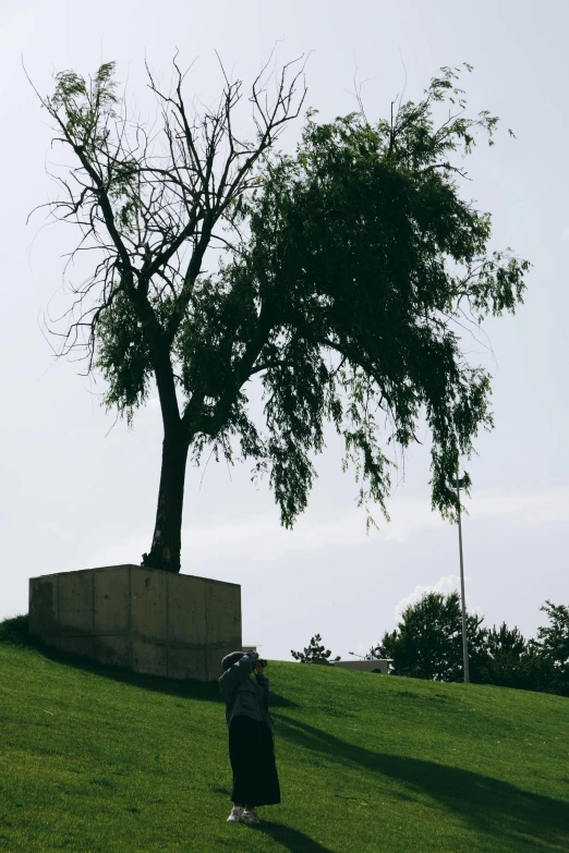 a man standing in the shade near a tree