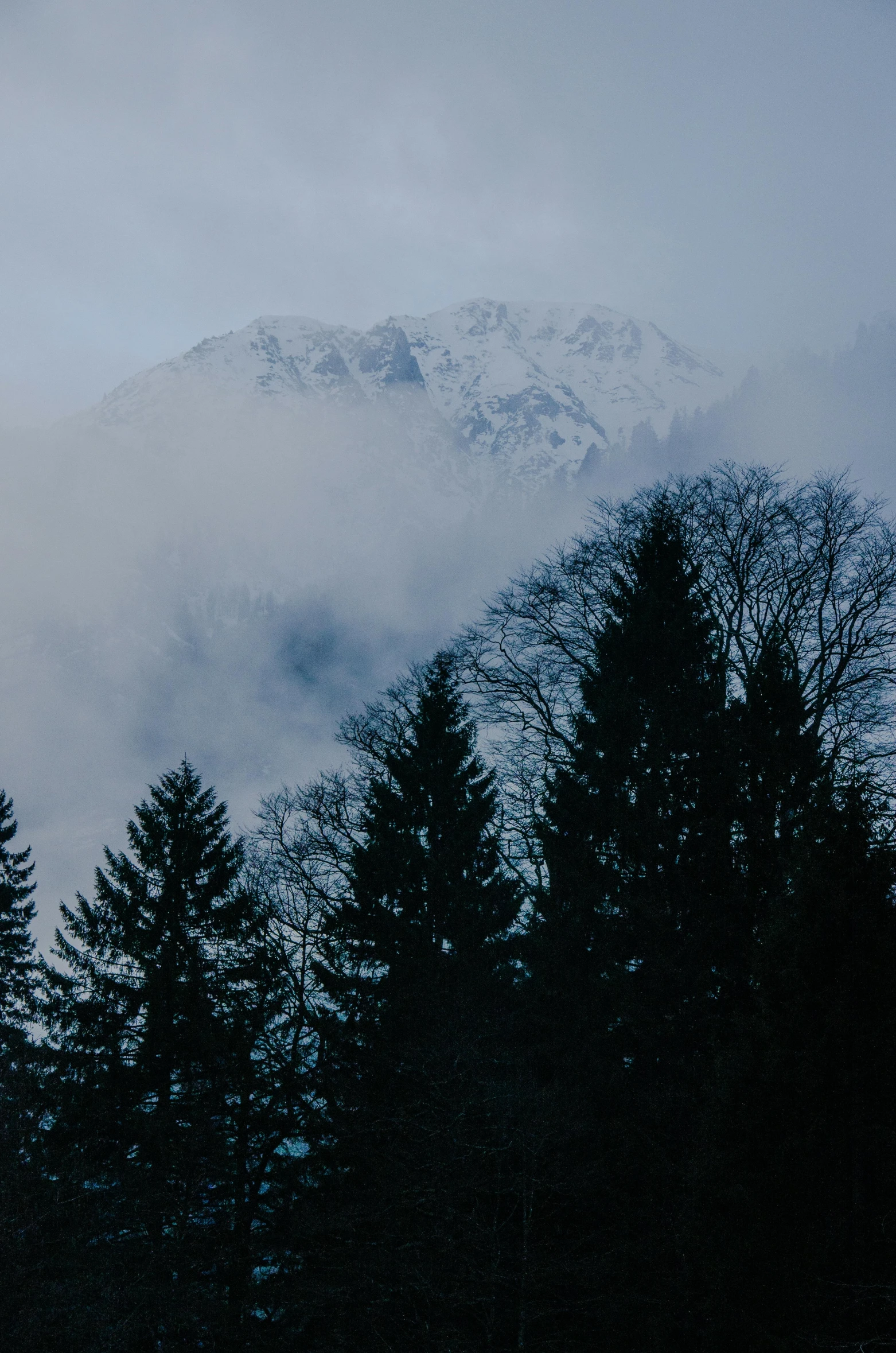 a snowy mountain surrounded by trees in the distance