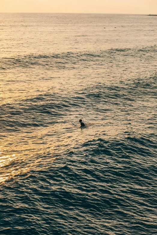 two people are on surfboards in the ocean