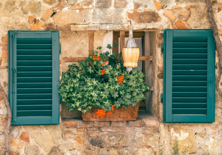 a window box with some plants growing in it