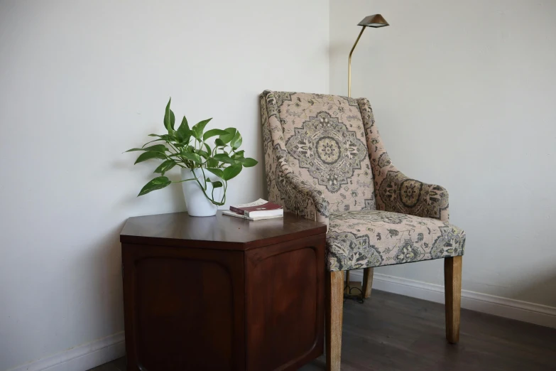 the chair has a plant on the end table