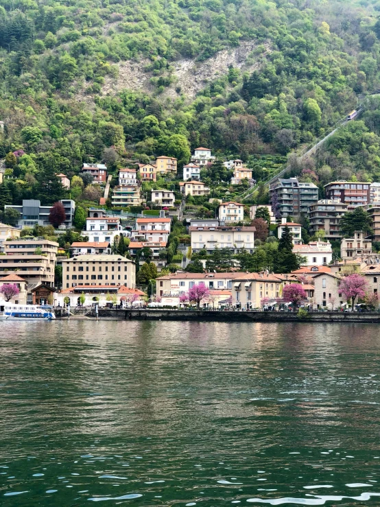 a city in a bay with lots of houses and boats