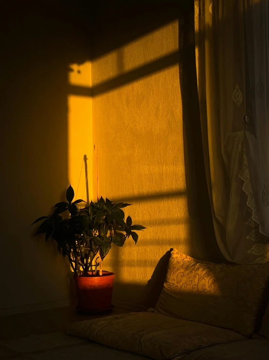 the sun shining on a living room with a couch