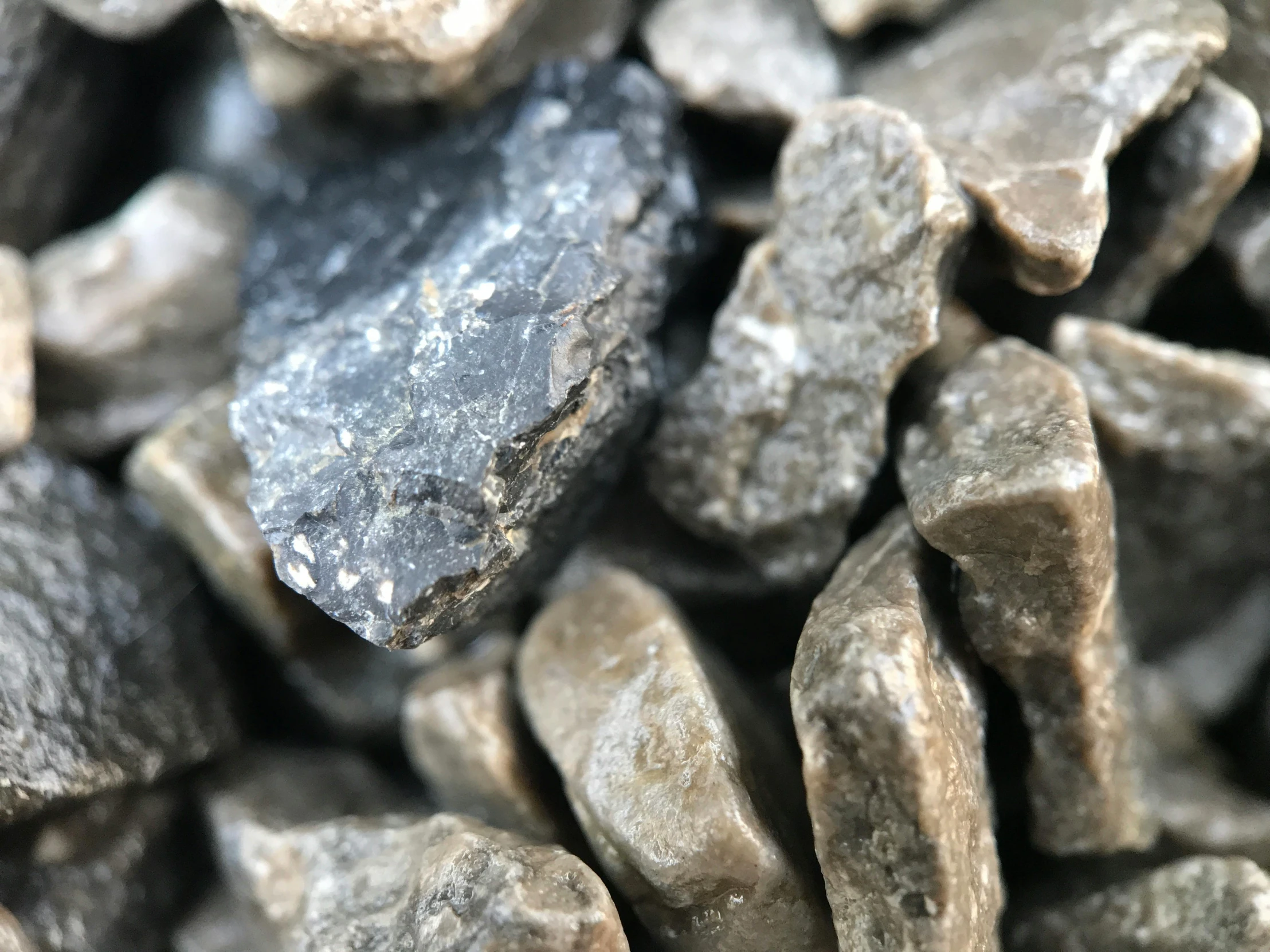 closeup of rocks and gravel in an outdoor space