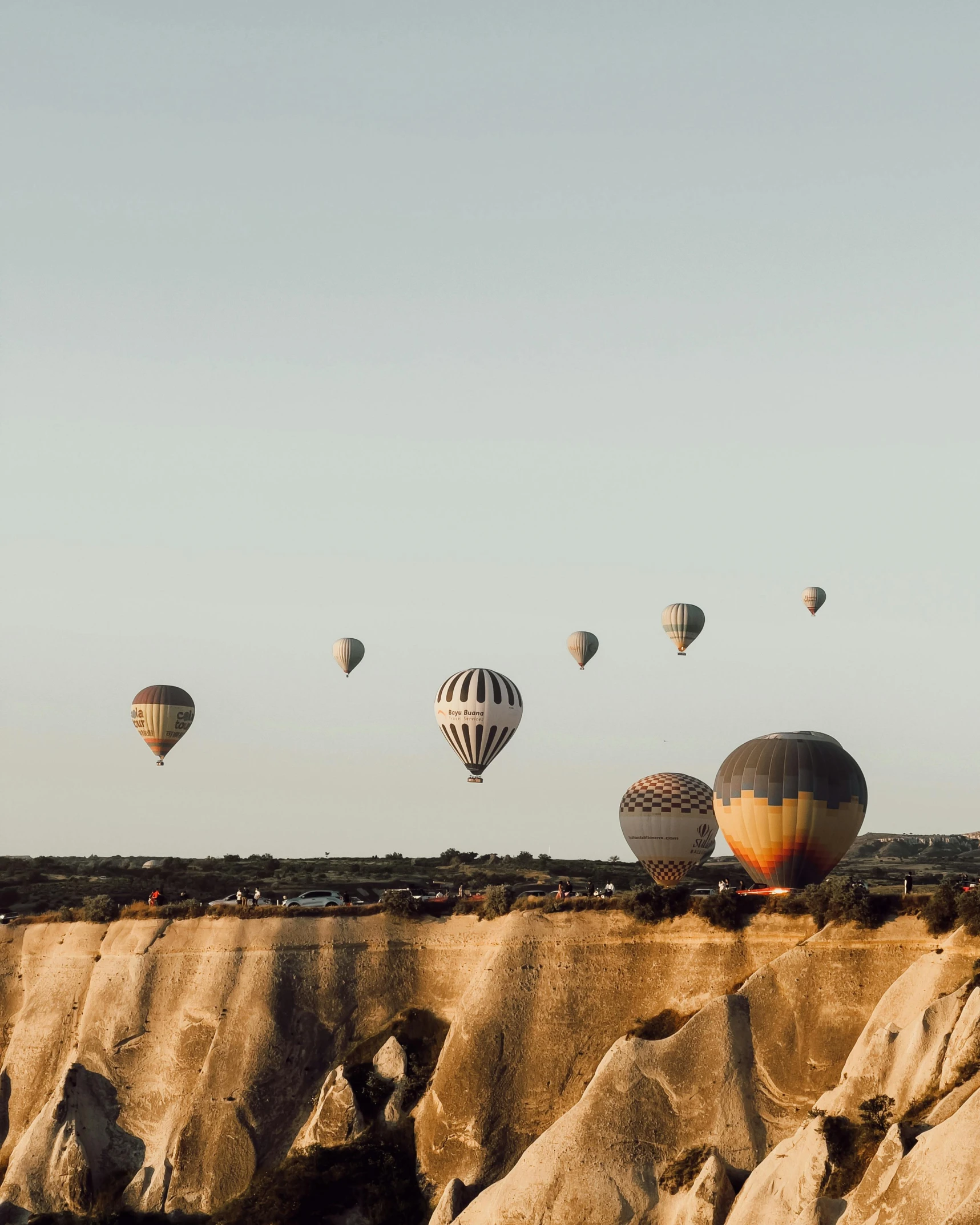 some very pretty  air balloons flying through the sky