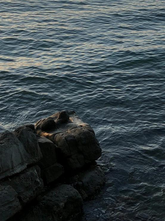 a bird sitting on some rocks by the ocean