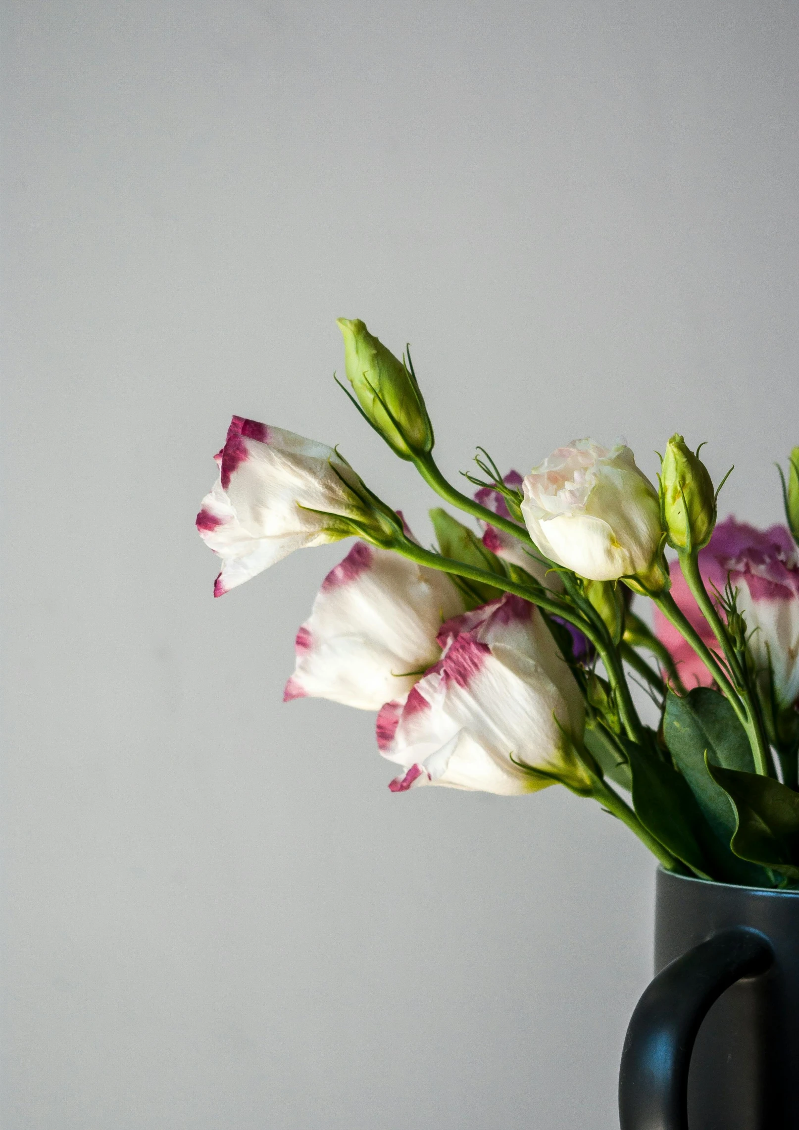 a vase with pink and white flowers is shown