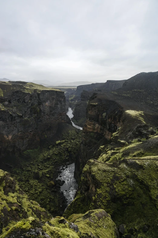 a po of a canyon with moss and rocks on the cliff