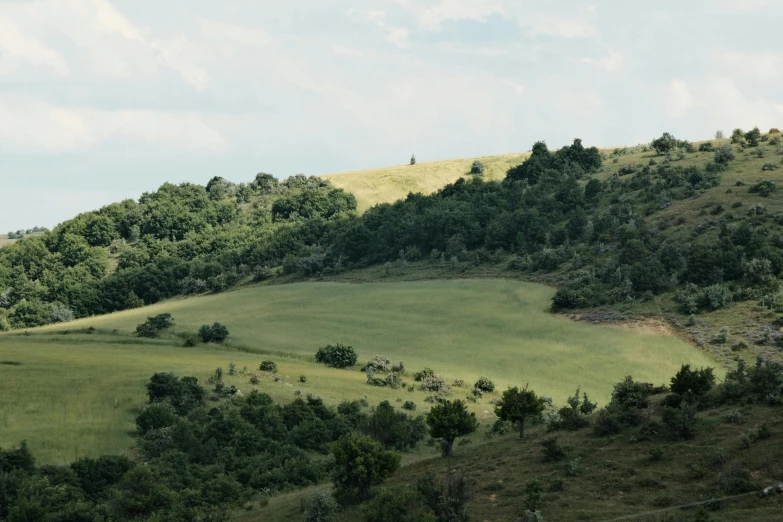 a view of an area with grass, trees, and mountains