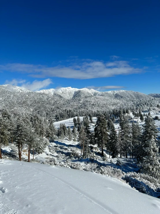 the snow has settled and the ground is clear