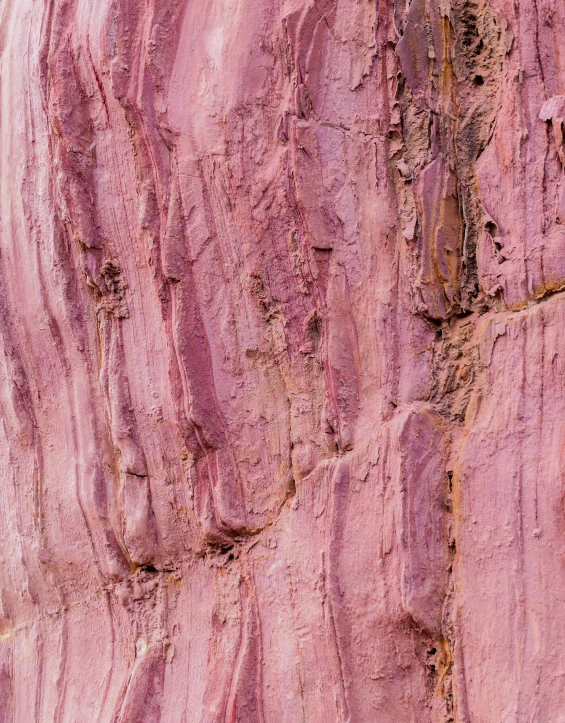 there is pink dirt that is growing along the wall