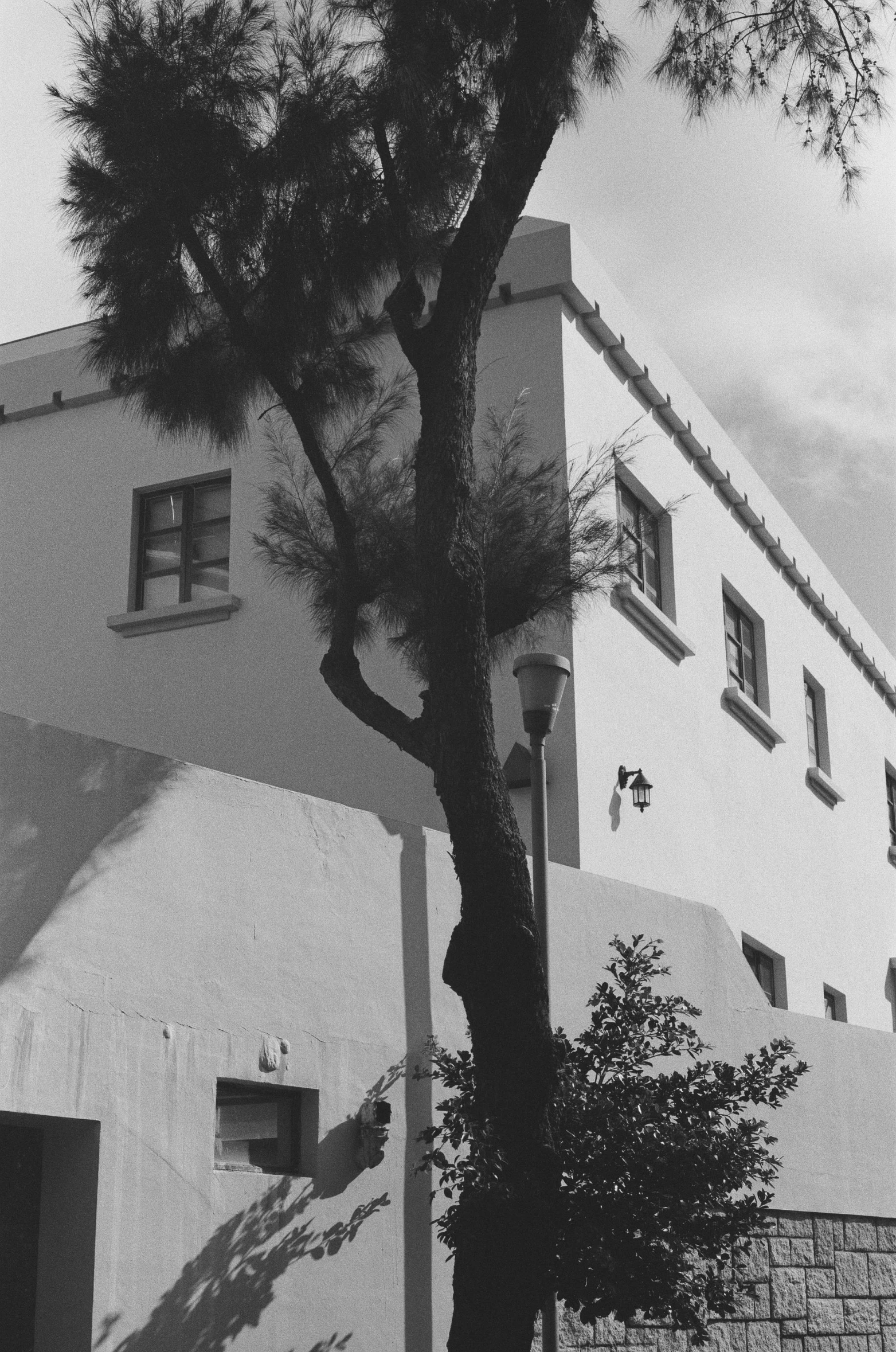 the house is next to a tree with a small fence