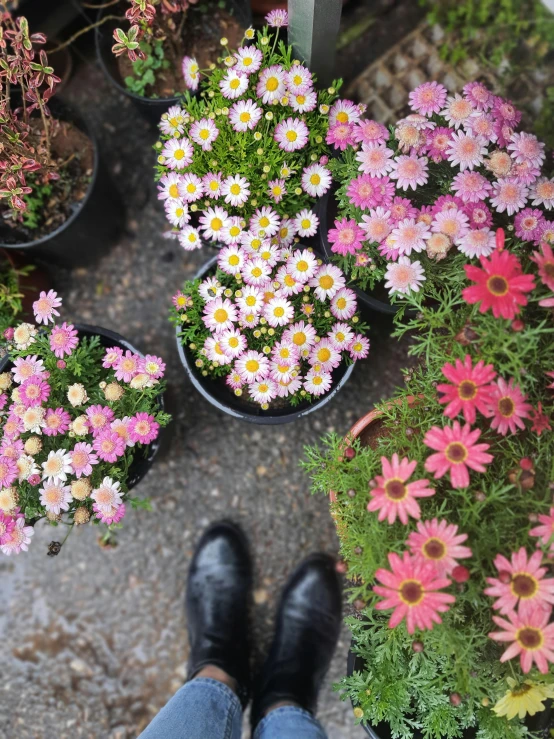 this is someone's feet, near various different flowers