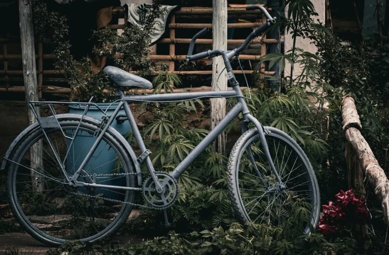 a bicycle that is parked near plants outside