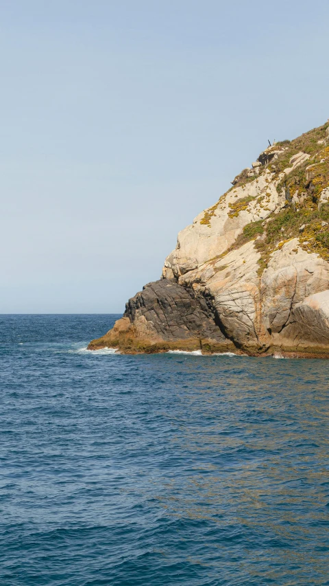 some animals are swimming in the water near rocks