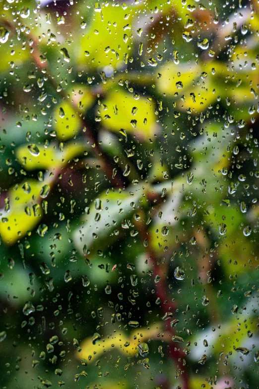 looking out of a window during a rain shower