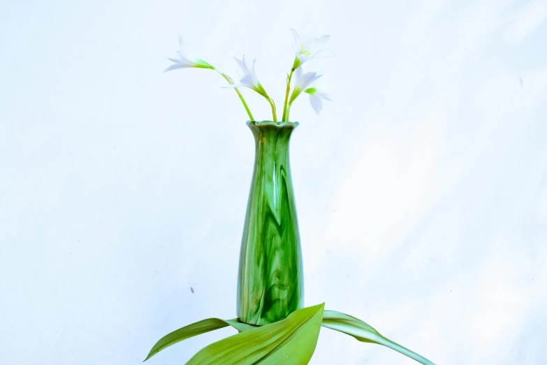 a vase with several white flowers inside of it