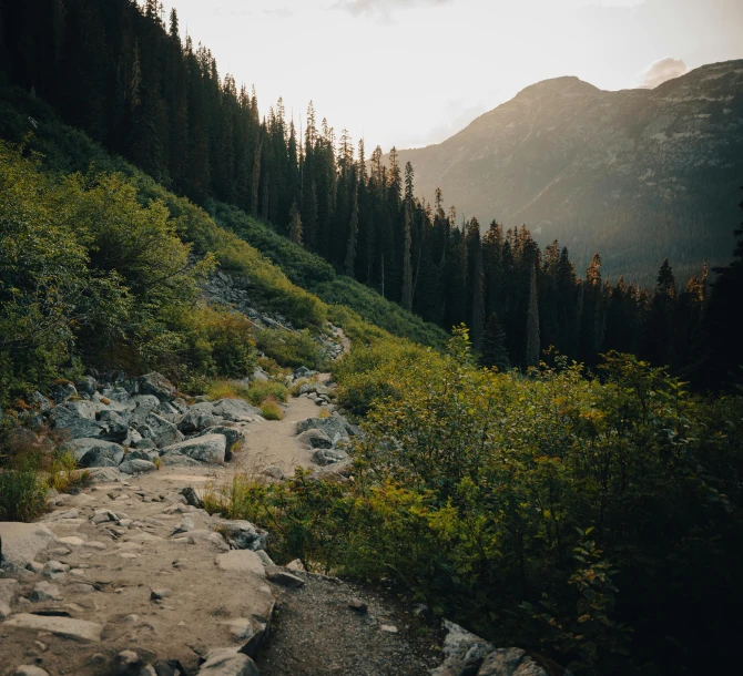 a trail leading to the top of a steep hill