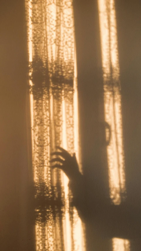 shadow shows hands that can be seen through curtain ds