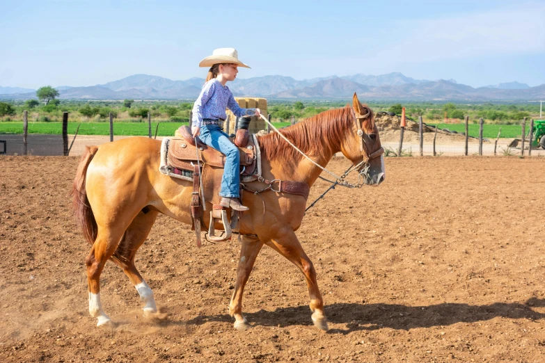 a young child riding on the back of a brown horse