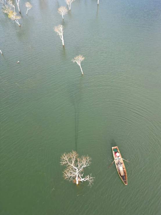 a single boat floating across a lake filled with tree nches