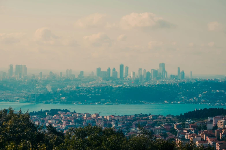 the view of an urban area with trees, water and buildings