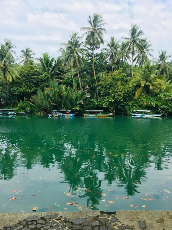 the boats are parked on the side of the river