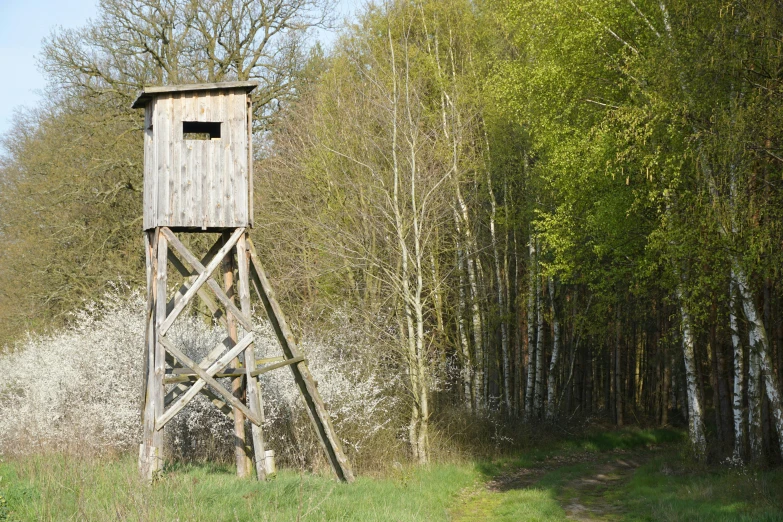 the wooden tower stands in the forest next to the road