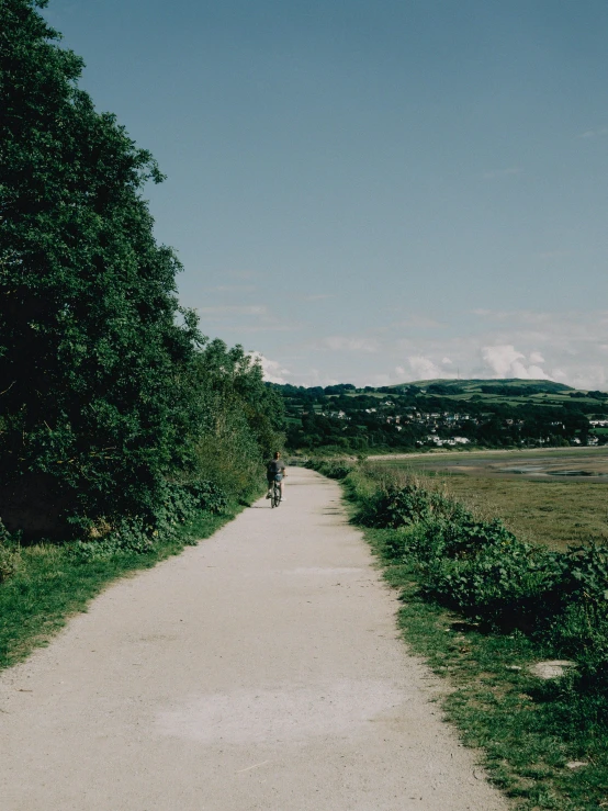 a man walking down a dirt road in the woods