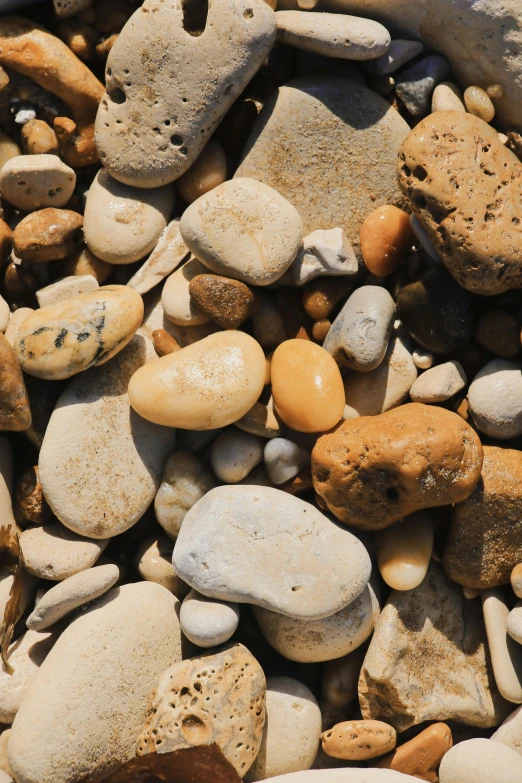 rocks and gravel all along the shoreline as a design element